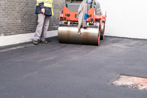 Best Decorative Concrete Driveways  in Salem, NC